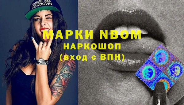 МДПВ Няндома